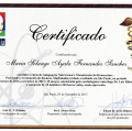Ampliar imagem: certificate 5