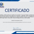 Ampliar imagem: certificate 5