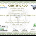 Ampliar imagem: certificate 4