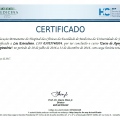 Ampliar imagem: certificate 17