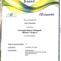 Ampliar imagem: certificate 5