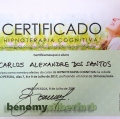 Ampliar imagem: certificate 12