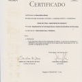 Ampliar imagem: certificate 11