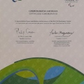 Ampliar imagem: certificate 11
