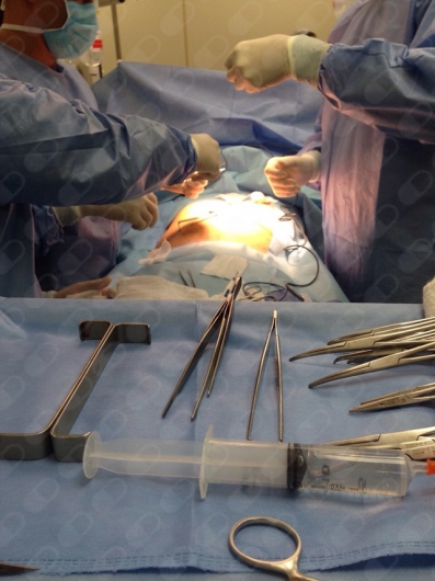 Guilherme De Andrade Gagheggi Ravanini-8