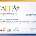 Ampliar imagem: certificate 26