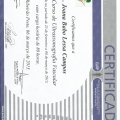 Ampliar imagem: certificate 4