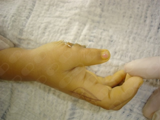 Samir Haikal Junior-27