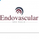 Endovascular SP