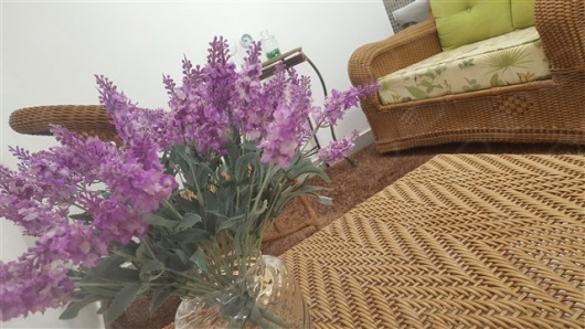 Sueli Oliveira Alves-2