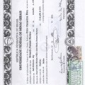 Ampliar imagem: certificate 1