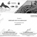 Ampliar imagem: certificate 35