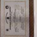 Ampliar imagem: certificate 1