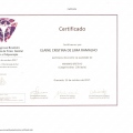 Ampliar imagem: certificate 8