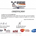 Ampliar imagem: certificate 293