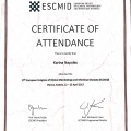 Ampliar imagem: certificate 6