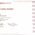 Ampliar imagem: certificate 2