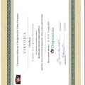 Ampliar imagem: certificate 15