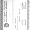 Ampliar imagem: certificate 3