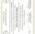 Ampliar imagem: certificate 3