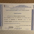 Ampliar imagem: certificate 5