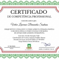 Ampliar imagem: certificate 1