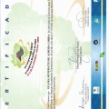 Ampliar imagem: certificate 4