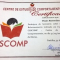 Ampliar imagem: certificate 5