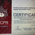 Ampliar imagem: certificate 2