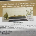 Ampliar imagem: certificate 6