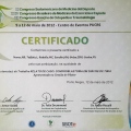 Ampliar imagem: certificate 13