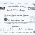 Ampliar imagem: certificate 4