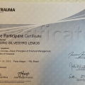 Ampliar imagem: certificate 3
