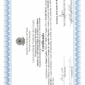 Ampliar imagem: certificate 3