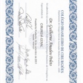 Ampliar imagem: certificate 19