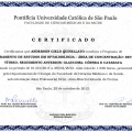 Ampliar imagem: certificate 4
