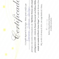 Ampliar imagem: certificate 2