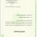 Ampliar imagem: certificate 7