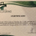 Ampliar imagem: certificate 10