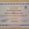 Ampliar imagem: certificate 3