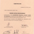 Ampliar imagem: certificate 21