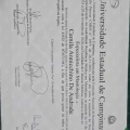 Ampliar imagem: certificate 4