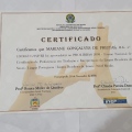 Ampliar imagem: certificate 9