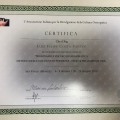 Ampliar imagem: certificate 11