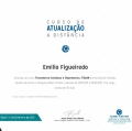 Ampliar imagem: certificate 3