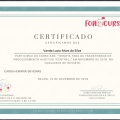Ampliar imagem: certificate 13