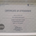 Ampliar imagem: certificate 4