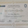Ampliar imagem: certificate 4