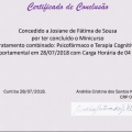 Ampliar imagem: certificate 11