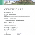 Ampliar imagem: certificate 11